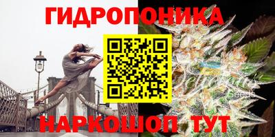 ГАЛЛЮЦИНОГЕННЫЕ ГРИБЫ Кимры