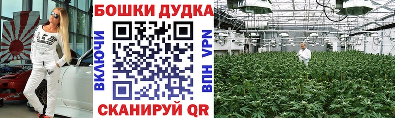 Бошки марихуана THC 21%  цена   Янаул 